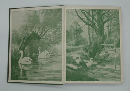 Rare find.. The Girls Own Annual, Volume 50. 1929