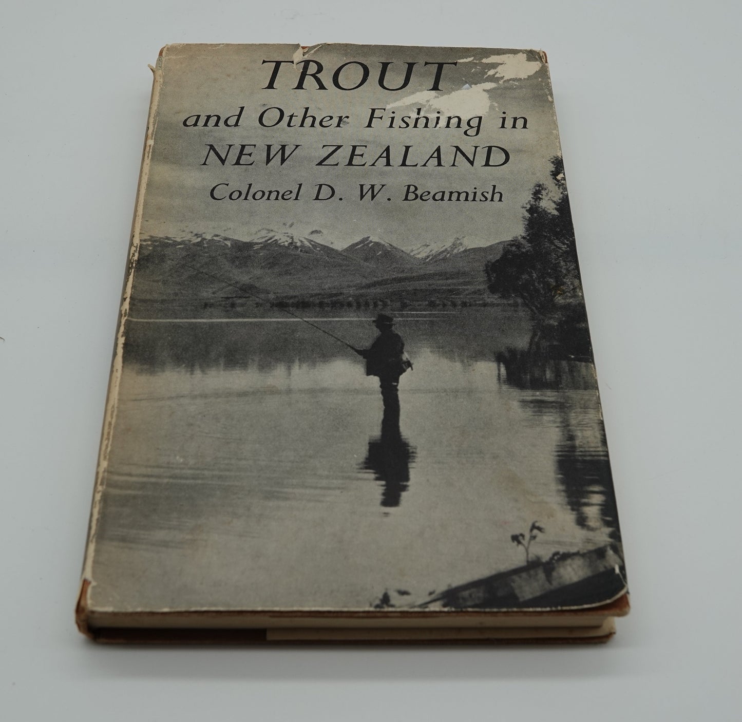 TROUT and Other Fishing in New Zealand , by Colonel D. W. Beamish