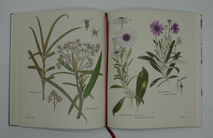 The Essential Audrey Eagle Botanical Art of New Zealand