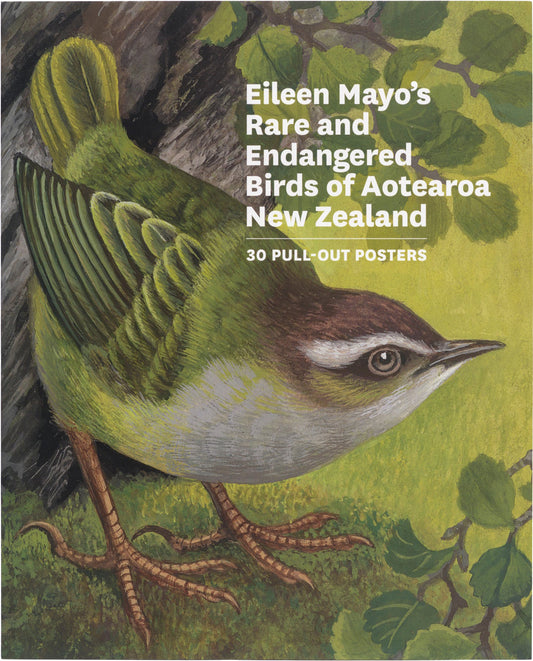 Eileen Mayos Rare and Endangered Birds of Aotearoa New Zealand